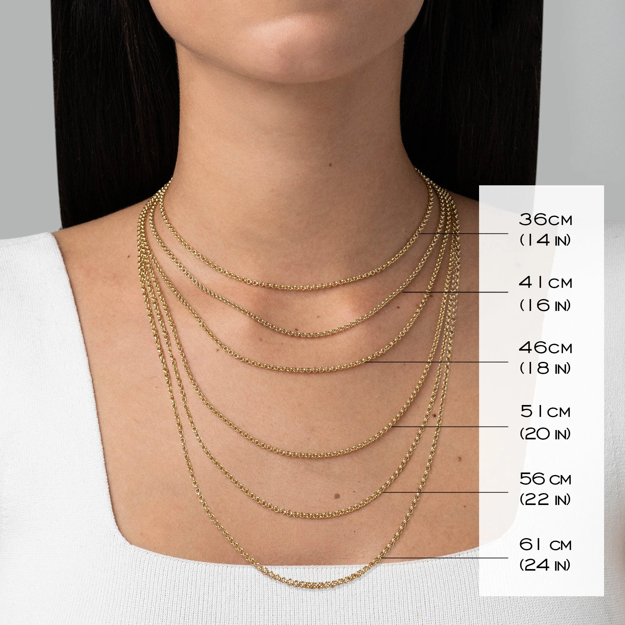 886 Small Belcher Chain in 9ct Yellow Gold - Image 6